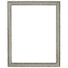 Virginia Rectangle Frame # 553 - Silver Shade