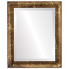 Kensington Beveled Rectangle Mirror Frame in Champagne Gold