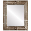Winchester Flat Rectangle Mirror Frame in Champagne Silver