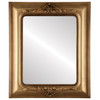 Winchester Flat Rectangle Mirror Frame in Desert Gold