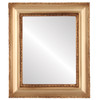 Somerset Flat Rectangle Mirror Frame in Desert Gold