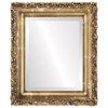 Venice Beveled Rectangle Mirror Frame in Champagne Gold