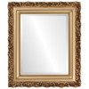Venice Beveled Rectangle Mirror Frame in Desert Gold
