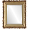 Venice Beveled Rectangle Mirror Frame in Gold Spray