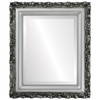 Venice Beveled Rectangle Mirror Frame in Silver Spray