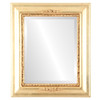 Boston Beveled Rectangle Mirror Frame in Gold Leaf
