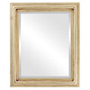 Philadelphia Beveled Rectangle Mirror Frame in Gold Leaf