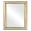 Philadelphia Flat Rectangle Mirror Frame in Gold Leaf