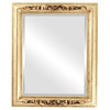 Florence Beveled Rectangle Mirror Frame in Gold Leaf