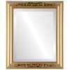 Florence Beveled Rectangle Mirror Frame in Gold Spray