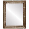 Dorset Flat Rectangle Mirror Frame in Champagne Silver