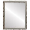 Virginia Flat Rectangle Mirror Frame in Silver Leaf with Brown Antique