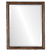 Virginia Beveled Rectangle Mirror Frame in Walnut
