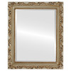 Rome Beveled Rectangle Mirror Frame in Silver