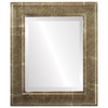 Montreal Beveled Rectangle Mirror Frame in Champagne Gold