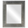 Montreal Beveled Rectangle Mirror Frame in Silver Leaf with Brown Antique
