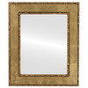 Paris Flat Rectangle Mirror Frame in Gold Leaf