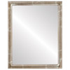 Pasadena Flat Rectangle Mirror Frame in Champagne Silver