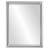 Pasadena Flat Rectangle Mirror Frame in Silver Spray
