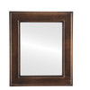 Montreal Flat Rectangle Mirror in Rubbed Bronze