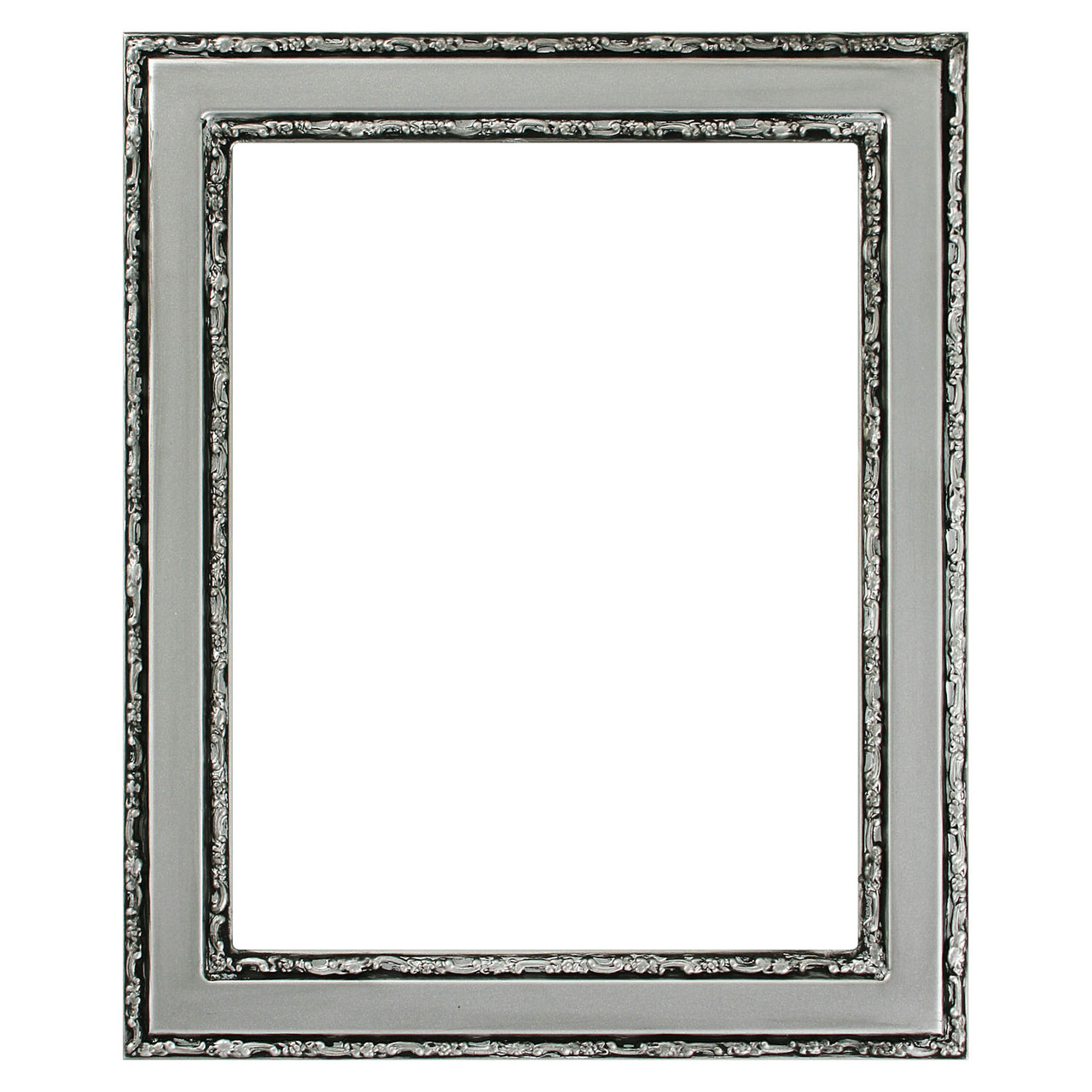 Monticello Rectangle Picture Frame - Silver Spray |Victorian Frames