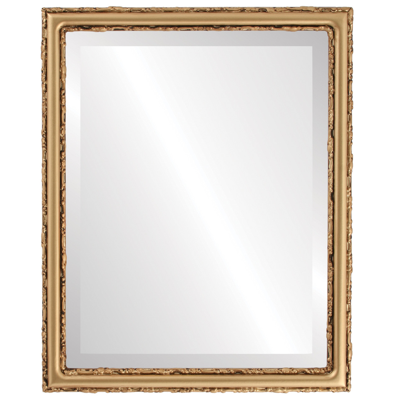 Rectangle Framed Mirror #553 Virginia Desert Gold Finish