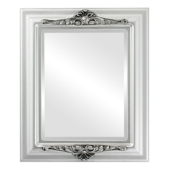 Winchester Beveled Rectangle Mirror Frame in Silver Spray