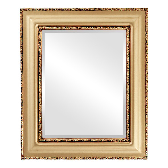 Somerset Beveled Rectangle Mirror Frame in Gold Spray