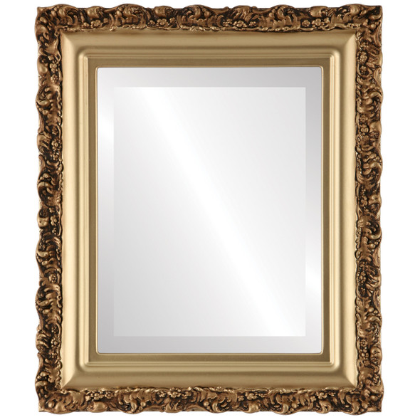 Venice Beveled Rectangle Mirror Frame in Gold Spray