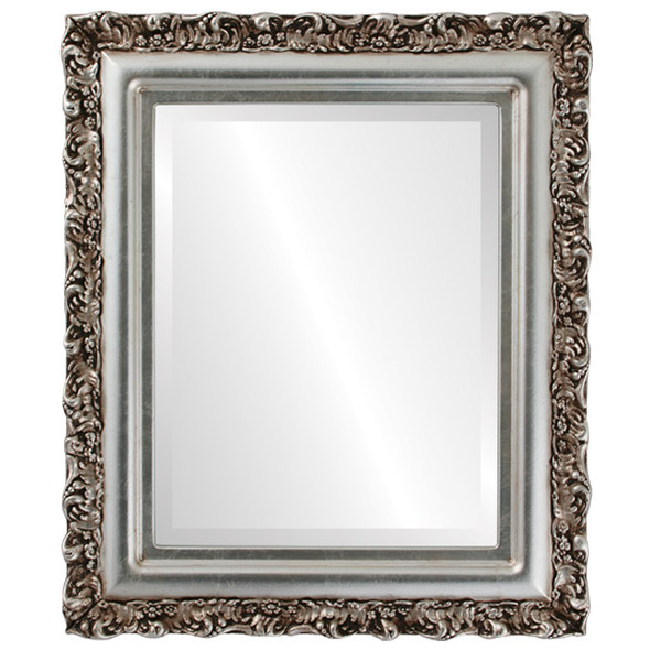 Venice Beveled Rectangle Mirror Frame in Silver Leaf with Brown Antique