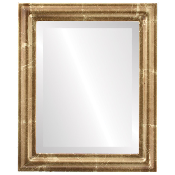 Philadelphia Beveled Rectangle Mirror Frame in Champagne Gold