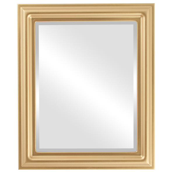 Philadelphia Beveled Rectangle Mirror Frame in Desert Gold