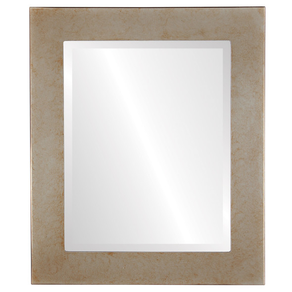Cafe Beveled Rectangle Mirror Frame in Burnished Silver