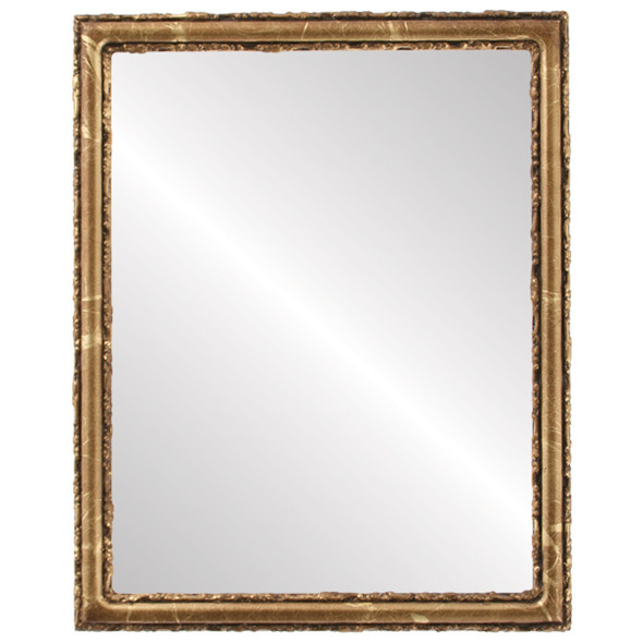 Virginia Flat Rectangle Mirror Frame in Champagne Gold