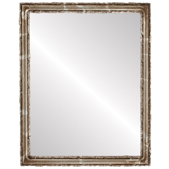 Virginia Flat Rectangle Mirror Frame in Champagne Silver