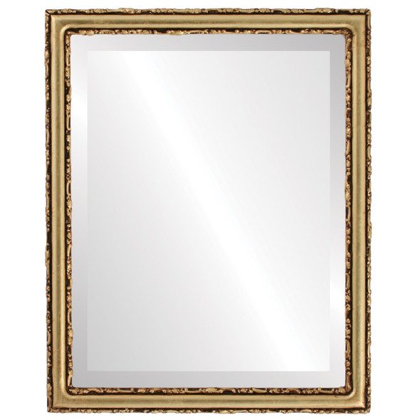 Virginia Beveled Rectangle Mirror Frame in Gold Leaf