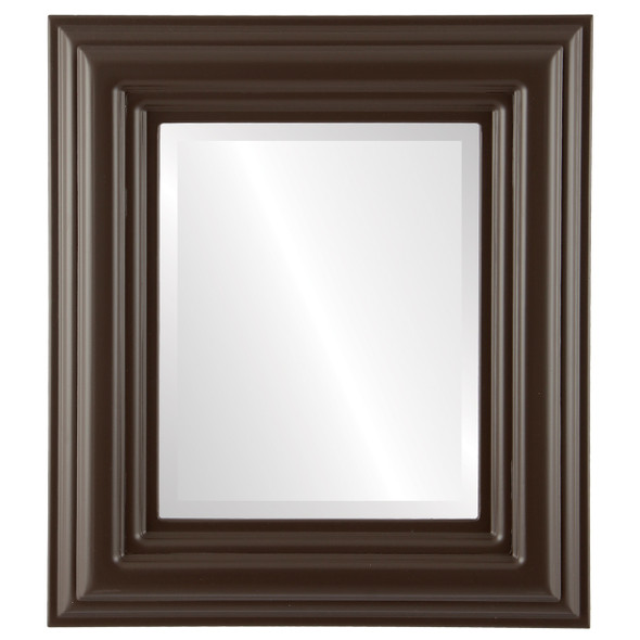 Regalia Beveled Rectangle Mirror Frame in Stone Brown