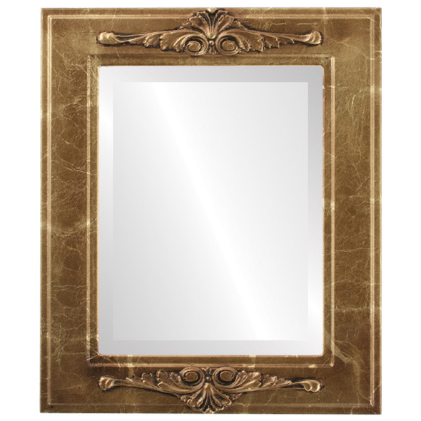 Ramino Beveled Rectangle Mirror Frame in Champagne Gold