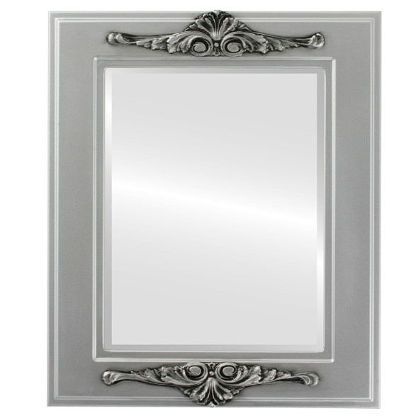 Ramino Beveled Rectangle Mirror Frame in Silver Spray