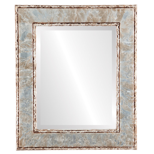 Paris Beveled Rectangle Mirror Frame in Champagne Silver