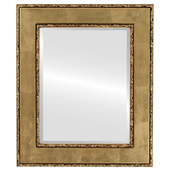 Paris Beveled Rectangle Mirror Frame in Gold Leaf