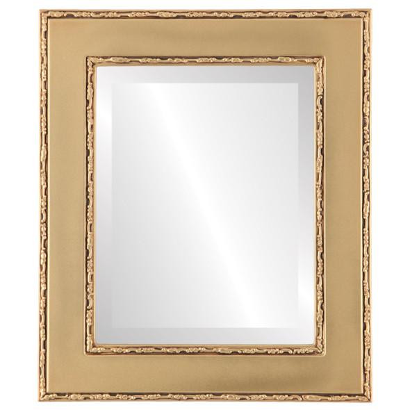 Paris Beveled Rectangle Mirror Frame in Gold Spray