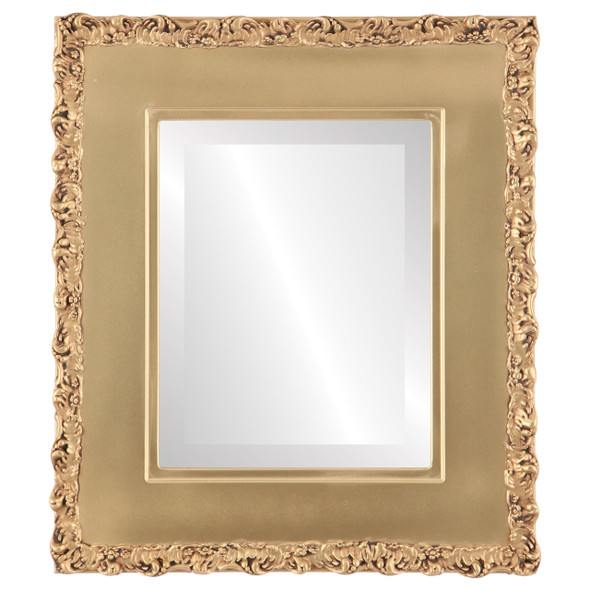 Williamsburg Beveled Rectangle Mirror Frame in Gold Spray