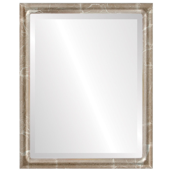 Pasadena Beveled Rectangle Mirror Frame in Champagne Silver