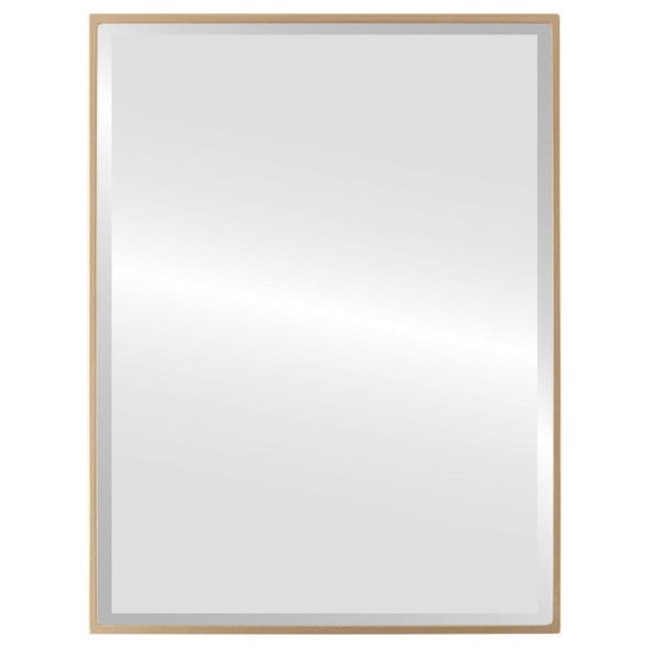 Singapore Bevelled Rectangle Mirror Frame in Gold Spray