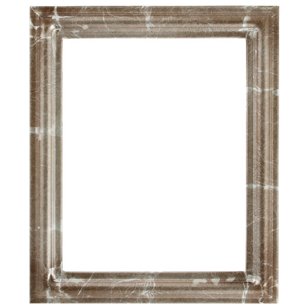 Philadelphia Rectangle Frame # 460 - Champagne Silver