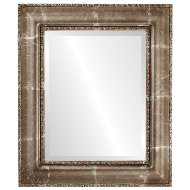 Somerset Beveled Rectangle Mirror Frame in Champagne Silver