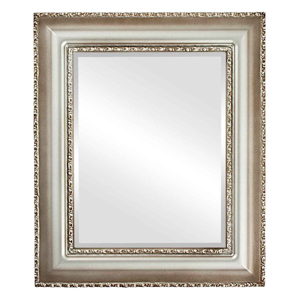 Somerset Beveled Rectangle Mirror Frame in Silver Shade