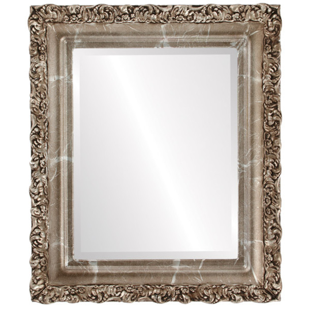 Venice Beveled Rectangle Mirror Frame in Champagne Silver