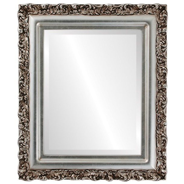 Venice Beveled Rectangle Mirror Frame in Silver Leaf with Brown Antique